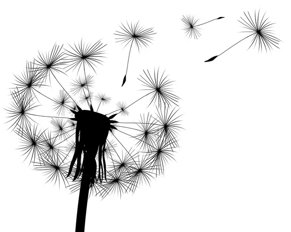 Silhouette avec des bourgeons de pissenlit volants — Image vectorielle