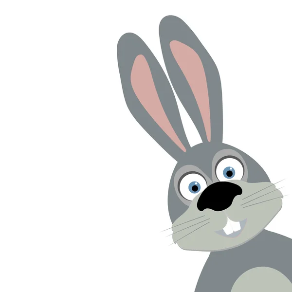 Cartoon rabbit on white background — Stock Vector
