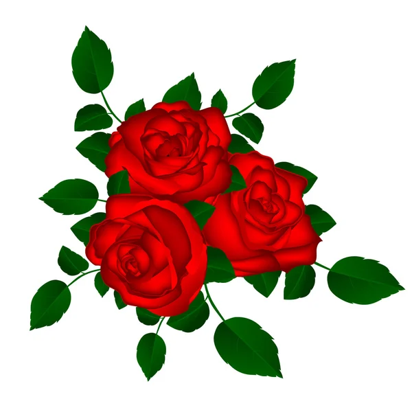 Bouquet de roses rouges sur fond blanc — Image vectorielle