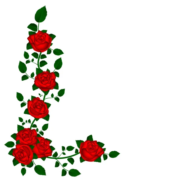 Vid de rosas rojas — Vector de stock