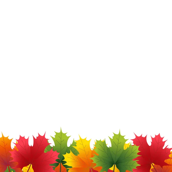 Daun maple musim gugur pada latar belakang putih - Stok Vektor