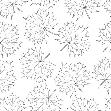 Beyaz bir arka plan üzerinde sorunsuz döngü akçaağaç yaprağı