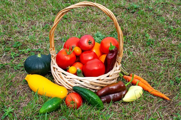 Čerstvá zelenina v košíku. — Stock fotografie