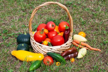 Sepette taze sebzeler.