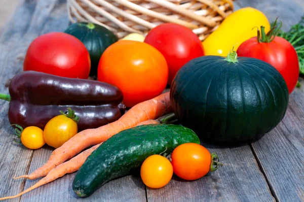 Fresh vegetables. Growing tomatoes, cucumbers, peppers and zucchini Royalty Free Stock Photos