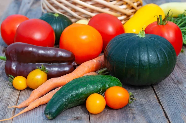 Fresh vegetables. Growing tomatoes, cucumbers, peppers and zucchini Stock Image
