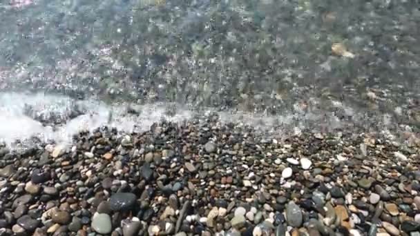 Чорноморське узбережжя з гальковим пляжем — стокове відео