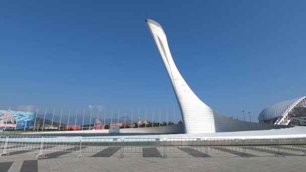 Park Olimpijski i śpiewająca pochodnia fontannowa. — Wideo stockowe