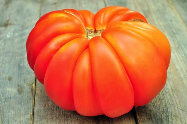 Grande pomodoro rosso "gigante " — Foto Stock