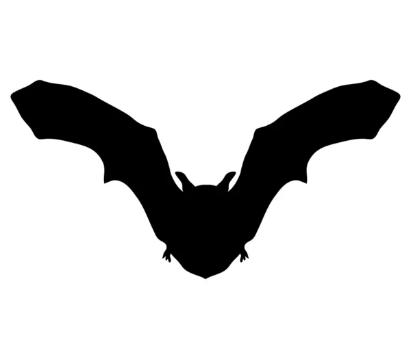 Pipistrello silhouette — Vettoriale Stock