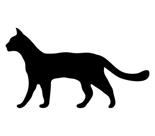 Silhouet van een kat — Stockvector