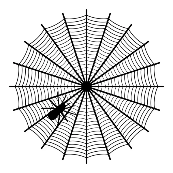 Spinne im Netz — Stockvektor