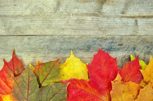 Yellow autumn leaves on background old wood — Stock Photo © Konstanttin ...