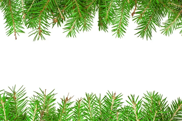 가문비나무 가지가 달린 크리스마스 배경 — 스톡 사진
