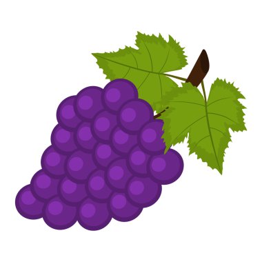 Beyaz arkaplanda bir demet üzüm