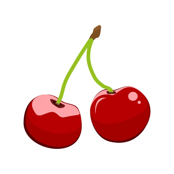 Cherry on a white background — Stock Vector