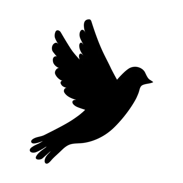 Silhueta do pássaro no fundo branco — Vetor de Stock