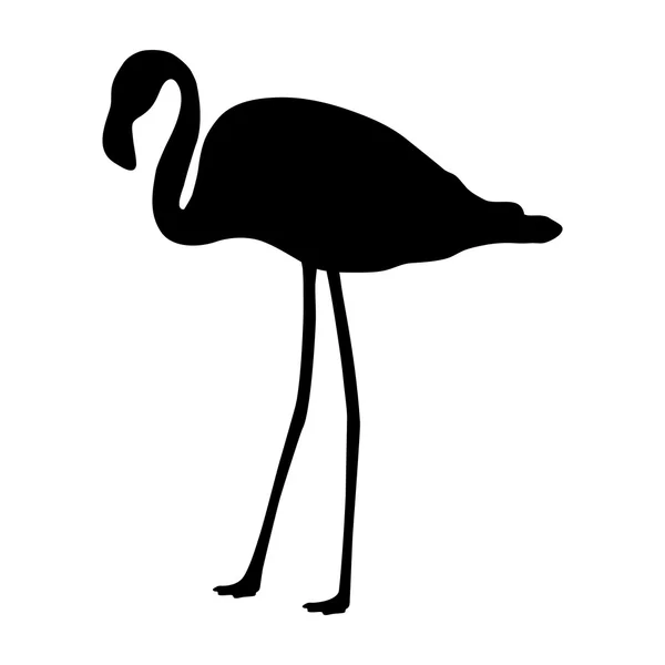 Silhouette de flamant rose sur fond blanc — Image vectorielle