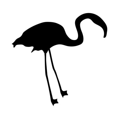 flamingo silueti