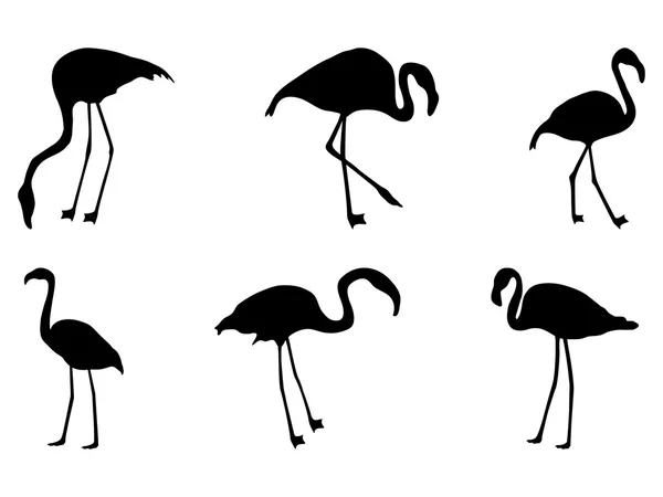 Set of silhouettes of flamingos — Stock Vector