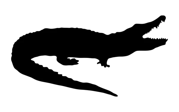 Silhuetten av en krokodil på vit bakgrund — Stock vektor