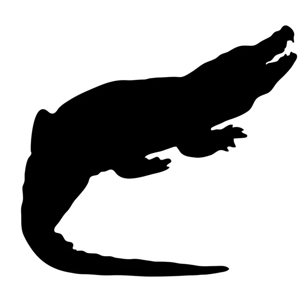 Silhouette of a crocodile on a white background — Stock Vector