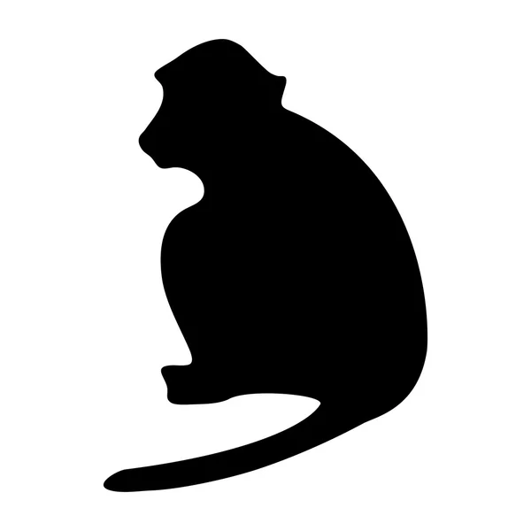 Silhouette of a monkey — Stock Vector