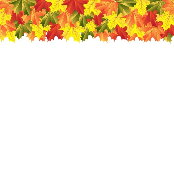 Autumn maple leaves — Stock Vector