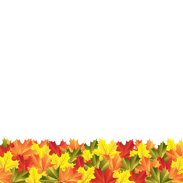 Dedaunan maple musim gugur latar belakang - Stok Vektor