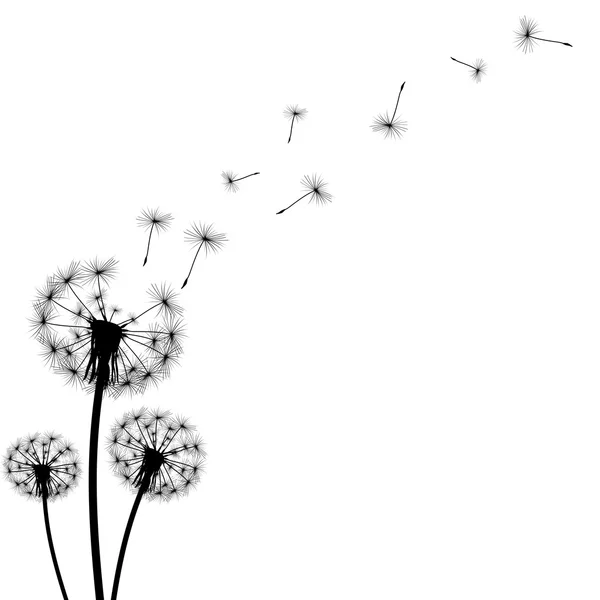 Black silhouette with flying dandelion buds — Stock Vector