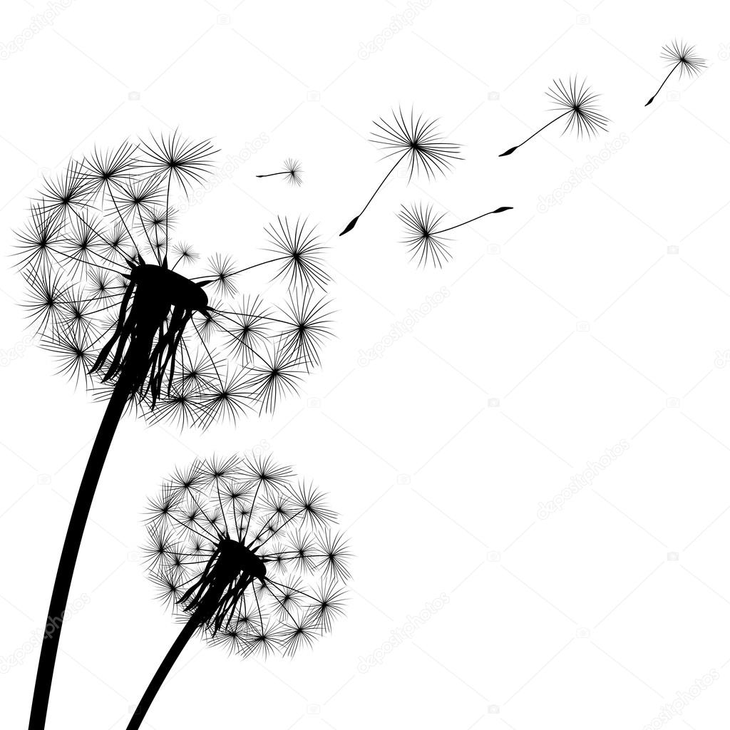 black silhouette with flying dandelion buds