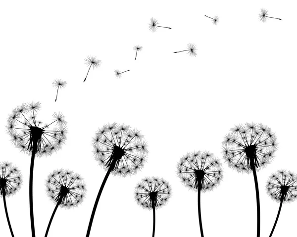 Background dandelion faded silhouettes — Stock Vector