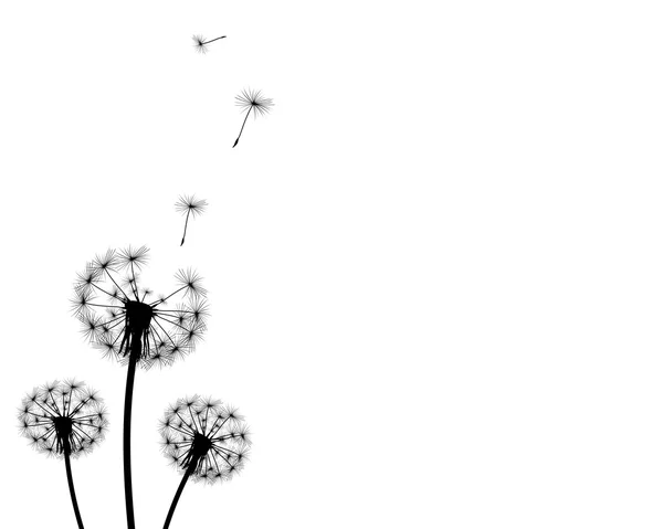 Background dandelion faded silhouettes — Stock Vector