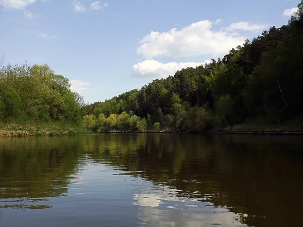 Ruhige Flussbiegung mit Wald — Stockfoto
