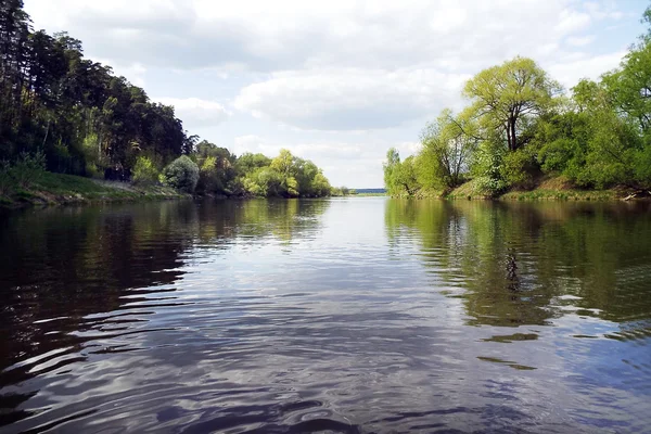 Rives calmes couvertes de forêt verte — Photo