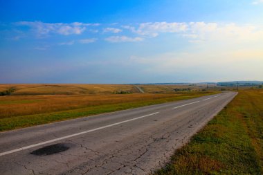 Ufuk içine meadows ormanlar ve mavi gökyüzü arka plan üzerinde kaybolan asfalt yol