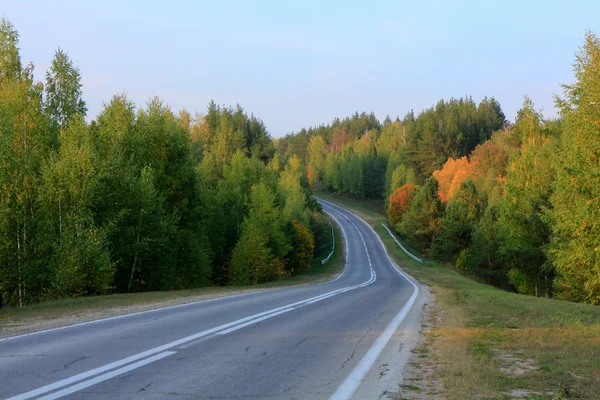 Asphalt road disappearing into the horizon on background of meadows forests and blue sky