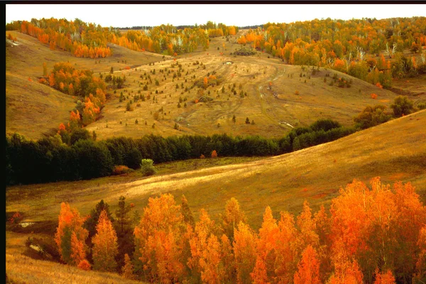 Landscape pespektiva hills and ravines with trees covered with golden autumn leaves — Stock Photo, Image