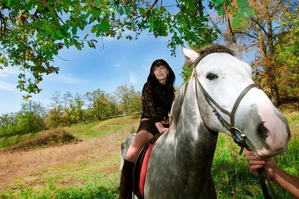 Αισθησιακό κορίτσι στο άλογο με τα πόδια στη φύση — Φωτογραφία Αρχείου