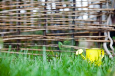 sarı yeşil çim sulama bidonunda