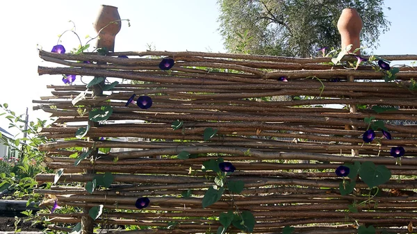 Ukraynalı Köyü hasır çit