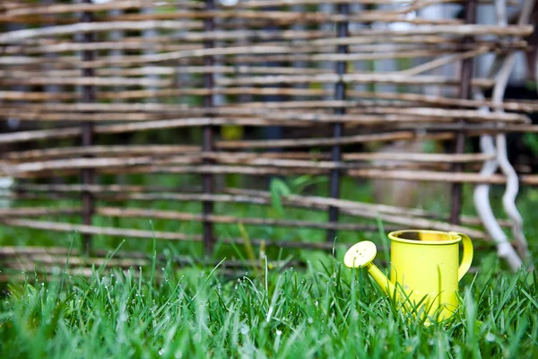 Gelbe Gießkanne im grünen Gras — Stockfoto