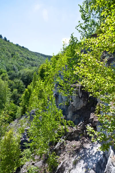 Utsikt över landskap av skogklädda berg — Stockfoto