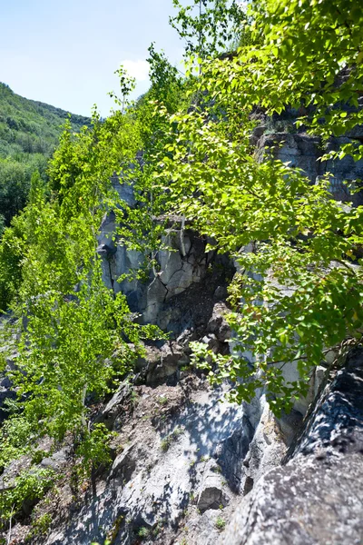 Vistas da paisagem das montanhas arborizadas — Fotografia de Stock