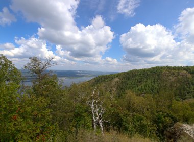 manzara ormanlık Dağları