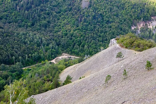 Landscape of forested mountains — Stock Photo, Image