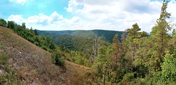 Landscape of forested mountains and the river — Stock Photo, Image