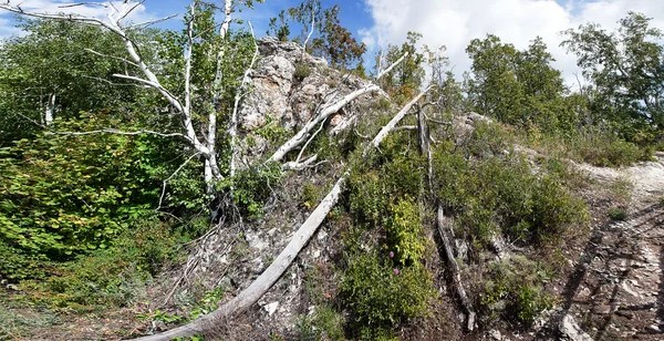 Fragment eines Berges mit Bäumen vor blauem Himmel — Stockfoto