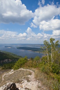 dağlar ile kayaya parçası dikey olarak ağaçlar