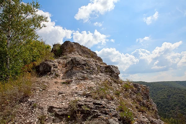 Фрагмент скалы против гор с деревьями по горизонтали — стоковое фото
